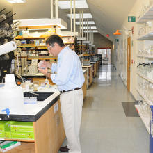 Zvi Kelman, director of NIST's new Biomolecular Labeling Laboratory, works near the lab's five user stations. 