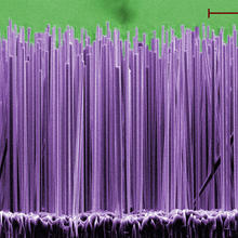 Semiconductor nanowires that emit ultraviolet light