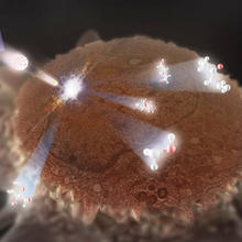 Artist's illustration showing a HeLa cell with its top already "milled" off being probed by a secondary ion mass spectrometry (SIMS) beam. 