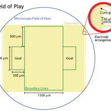 Nanosoccer Field of Play