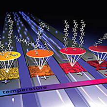 National Synchrotron Light Source