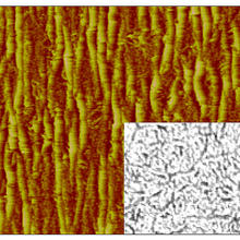 This atomic-force microscopy image shows wrinkling in a single-wall carbon nanotube membrane; the inset shows an optical reflection micrograph of the membrane without any strain. 