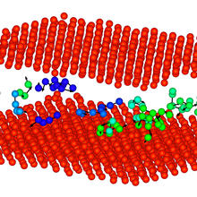 Between a polycrystalline material's grains (saffron layers) exist disorderly areas called grain boundaries