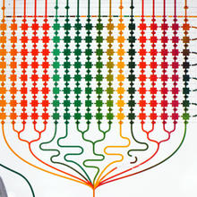 microfluidic chip