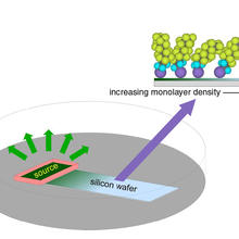 Schematic of the monolayer self-assembly process studied by the NIST/NCSU team.