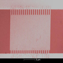 Colorized micrograph of ultrafast single-photon detector