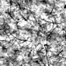 Confocal microscope image of a carbon nanotube/polypropylene composite. 