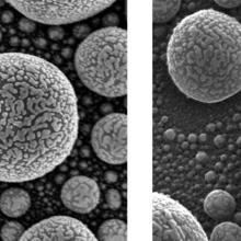 A comparison of gold atoms looked at in an SEM and a helium ion microscope