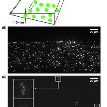 montage of nanofluidics 3D images