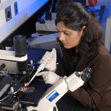 Photo of NIST researcher Jayna Shah working with the NIST micro microwave oven.