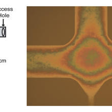 left: schematic of nanofluidic device. right: photomicrograph