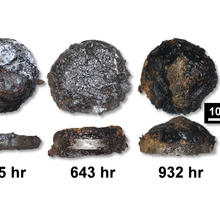 Optical micrographs of severe corrosion on steel alloy samples exposed to ethanol and acetic acid vapors