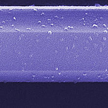 Scanning electron microscope image of a gas sensor segment fabricated of a semiconducting nanowire of gallium nitride. 