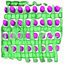 Transmission electron microscope (TEM) tomography provides a nanoscale, 3D visualization of the structure of a templated block copolymer.