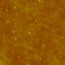 AFM (Atomic force microscopy) image of silver nanoparticles