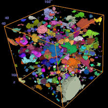 Microtomography image of the pore structure of a fireproofing material