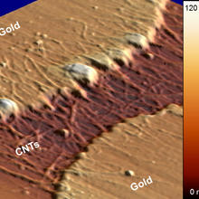 Micrograph of recession and clumping in gold electrodes 
