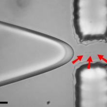 Image showing use of the NIST "on-demand" single-molecule drop dispenser