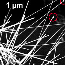 ZZnO nanowires to grow out of the circular copper substrate in all directions