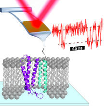 diagram of process to measure protein folding using AFM