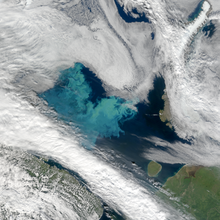 satellite image of algae bloom