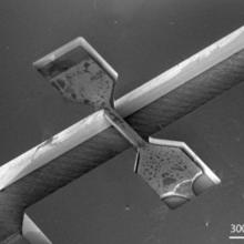 A stainless steel micro tensile specimen in a silicon frame.