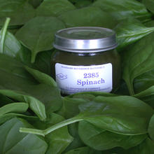 photo of NIST SRM 2385, spinach, on background of spinach leaves
