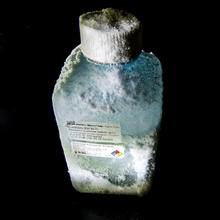 Photo of NIST RM 8671, NIST's monoclonal antibody reference material, packaged in dry ice
