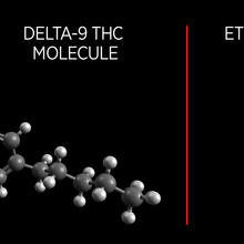 Illustration with light gray and dark gray balls with a few red balls, all connected, showing Delta-9 THC molecules and fewer connected light gray, darker gray and a red ball illustrating  and Ethyl Alcohol molecules