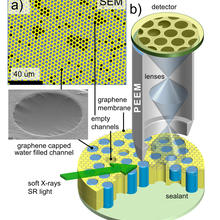 Graphene-capped Liquid Imaging Setup 