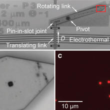 Motion measurement for an electrothermal actuator using tracking of fluorescent particle constellations.