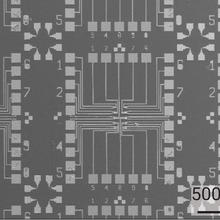 Scanning electron micrograph of arrays of independently controllable MoS2 field effect transistors for biochemical sensing.