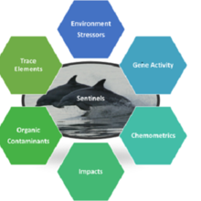 Multimodal Exposure Science