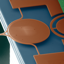 Close-up schematic of AFM Probe with Optical Resonator