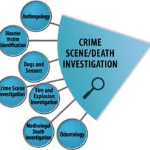 Crime Scene Death Investigation wedge