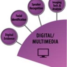 Digital/Multimedia wedge