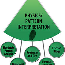 Physics/Pattern Interpretation wedge