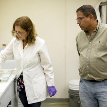 Cone Snail work at HML