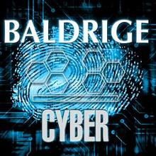 Baldrige-Cyber-300x249_0.jpg
