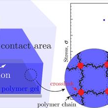 hydrogel