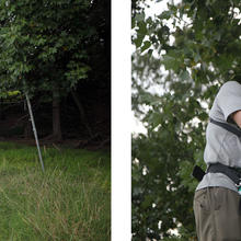 Two scientists on the ground as a third climbs a ladder into the forest canopy.