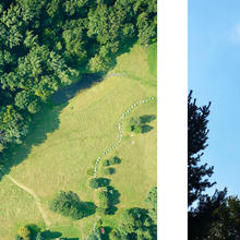 An aerial image of a forest and an image of a plane flying overhead.
