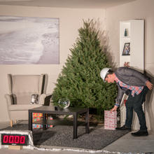 NIST employee places a Christmas present under an undecorated Christmas tree