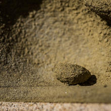 NIST Stone Test Wall Ohio sandstone detail of loose nugget sitting in weathered pocket