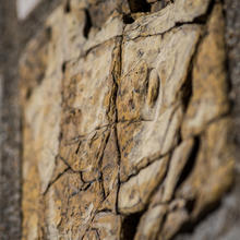 NIST Stone Test Wall Portuguese yellow marble fissures detail