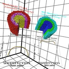 Image of simulations. 