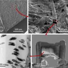  transmission electron microscope images of PtPd print paper sample