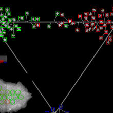 A still image from the WIPP software, which shows several cells outlined in red and several in green against a dark background.  Also pictured: a map of the cells geographic location within the petri dish.