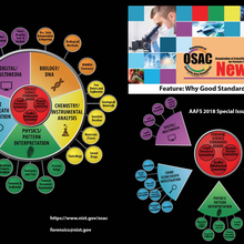 AAFS 2018 OSAC Newsletter Complete Cover