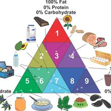  Illustration consisting of a multicolored triangle divided into 9 sectors with different levels of fat, protein and carbohydrates, and with various types of foods indicated for each sector. 